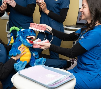 Dentist from South Jersey Pediatrics is smiling and playing with a plush dragon